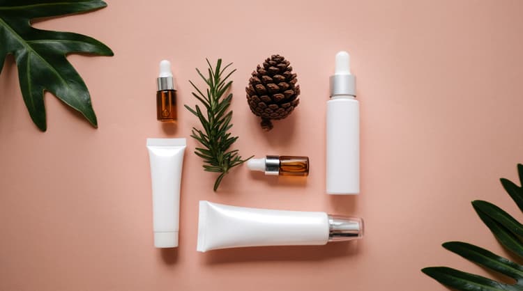 Student-Q-A-Katelyn-Accetta-1.jpg Student-Q-A-Katelyn-Accetta-1.jpg